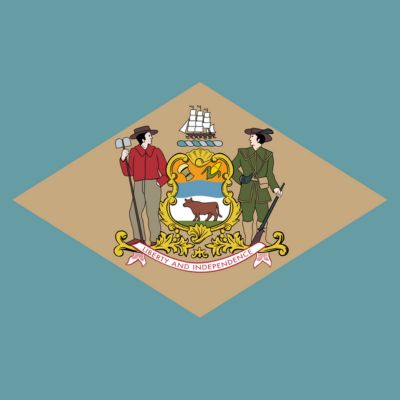 Delaware state flag for testimonials