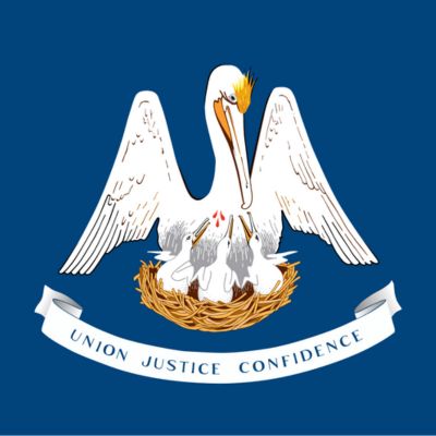 Louisiana flag for testimonials