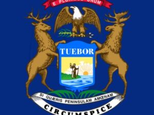 Michigan flag for testimonials
