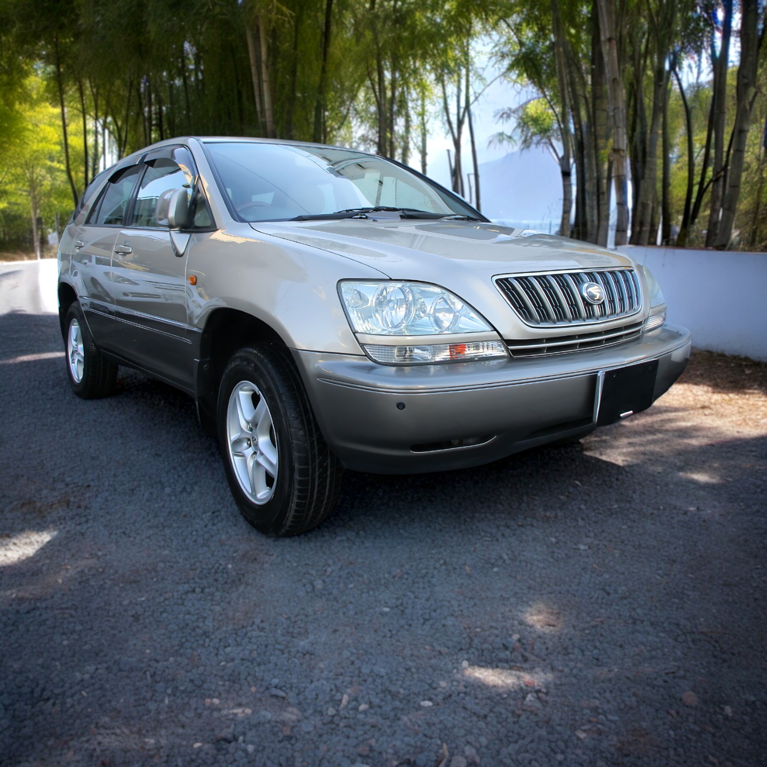RHD Toyota Harrier (Lexus RX) SUV in champagne silver from right front in front of bamboo.