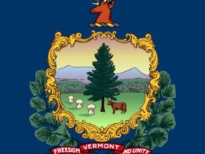 State flag of Vermont for testimonials