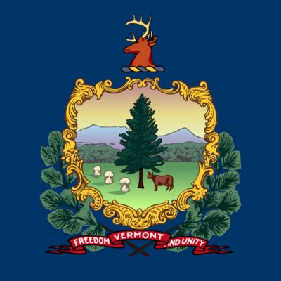 State flag of Vermont for testimonials