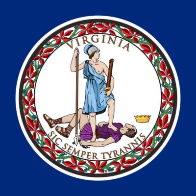 Virginia flag for testimonials